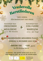 VREDEVOLLE KERSTLIEDEREN