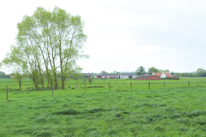 Amusant Platteland