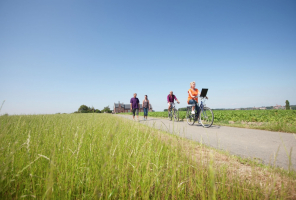 Wandelnetwerk Poelberg - Meikensbossen