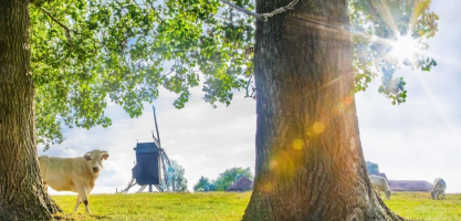 Poelbergsite- en molen