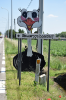 Struisvogelboerderij 'Schobbejaks Hoogte'