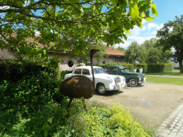 Struisvogelboerderij 'Schobbejaks Hoogte'