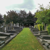 Zoektocht stedelijke begraafplaats