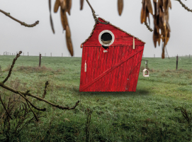 BON PARDON: NEST