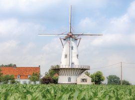 Toeristische ommetjes met gids