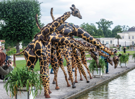 Teatro Pavana: Giraffe
